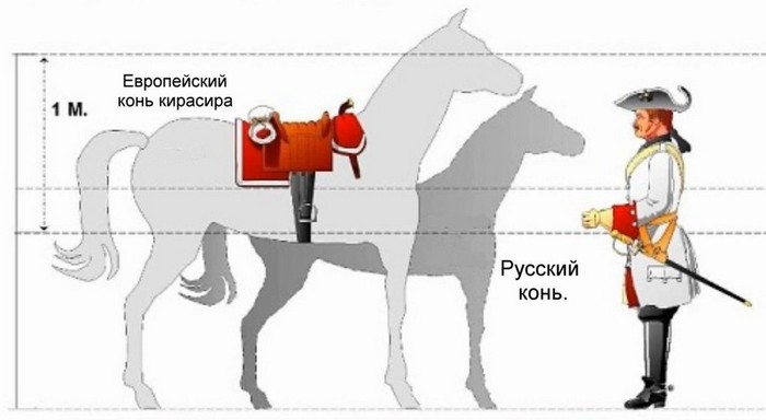 Сравнение лошадей кавалерии Петра Первого и регулярных западных армий