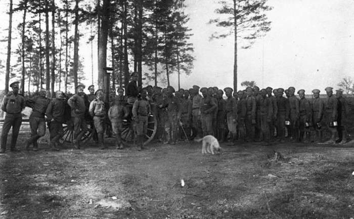 Гроховский 182-й пехотный полк, фото Первая Мировая война