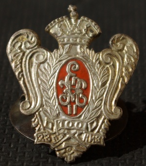 Нагрудный знак Низовского 23-го пехотного полка