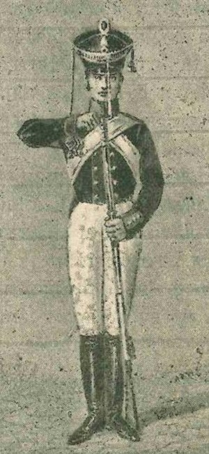 Форма мушкетера Калужского 5-го пехотного полка 1812 г.